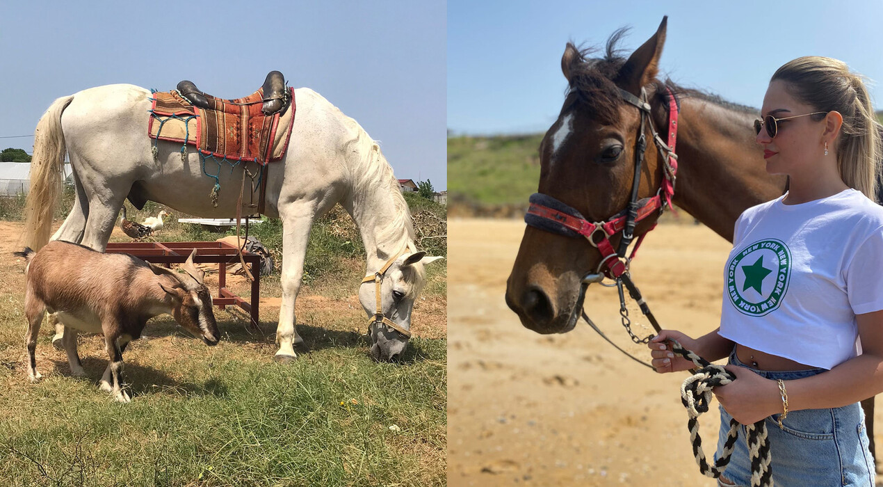 Atlı Tur - Gümüşdere Plajı Binicilik Alanı - 3 Fotoğraf 3 - Atlı Tur - Gümüşdere Plajı Binicilik Alanı