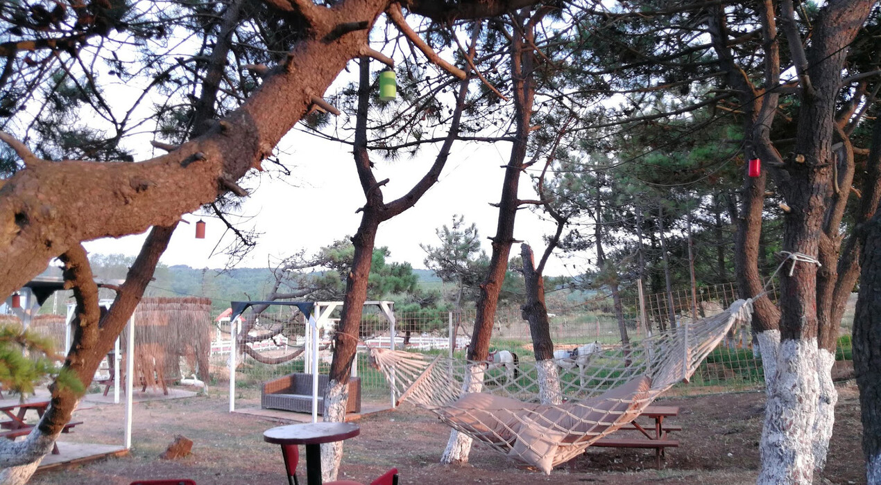 Atlı Tur - Gümüşdere Plajı Binicilik Alanı - 2 Fotoğraf 2 - Atlı Tur - Gümüşdere Plajı Binicilik Alanı
