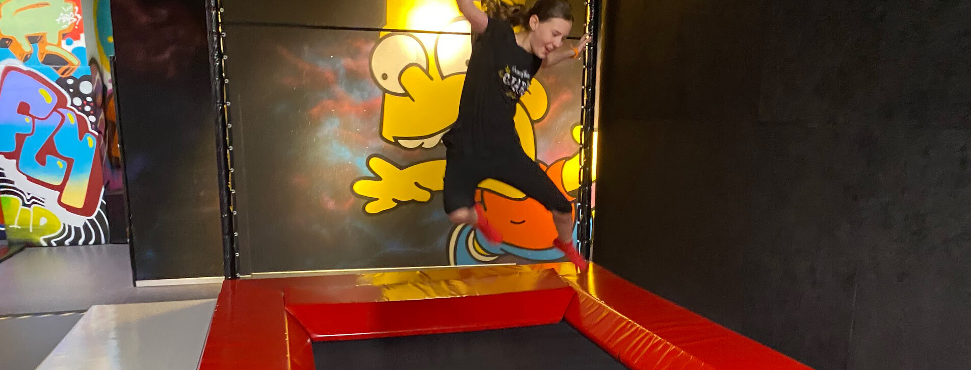 İki Çocuk için Trambolin Parkı - 22 Fotoğraf 22 - İki Çocuk için Trambolin Parkı