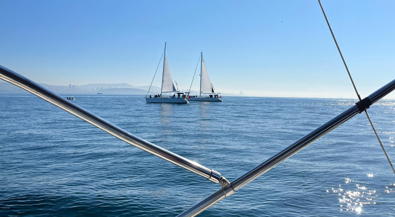One Yacht - 7 Fotoğraf 7 - One Yacht