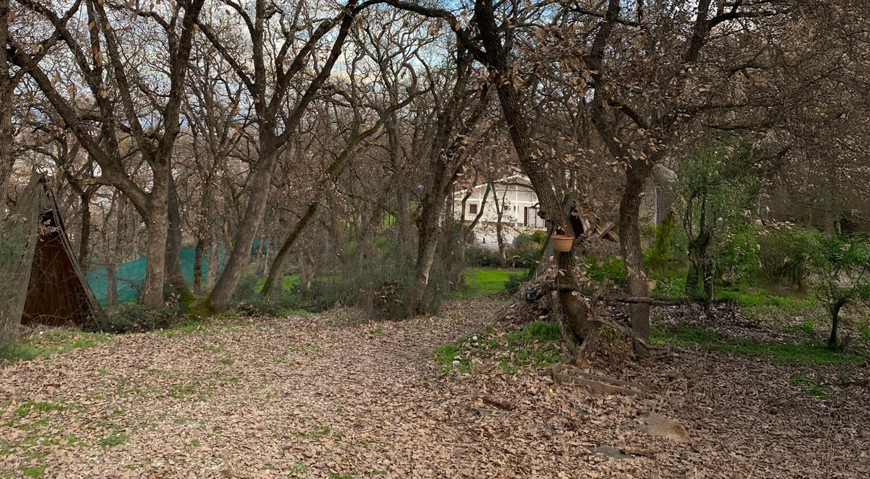 Bursa Paintball Balat - 6 Fotoğraf 6 - Bursa Paintball Balat