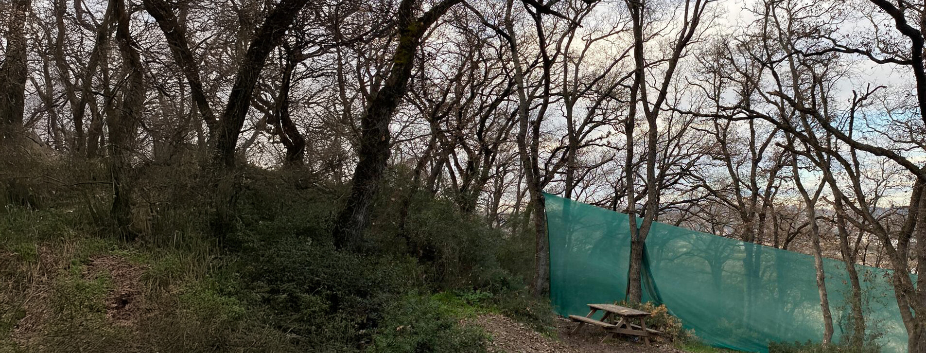 Bursa`da Arkadaş Grubu için Paintball - 9 Fotoğraf 9 - Arkadaş Grubu için Paintball