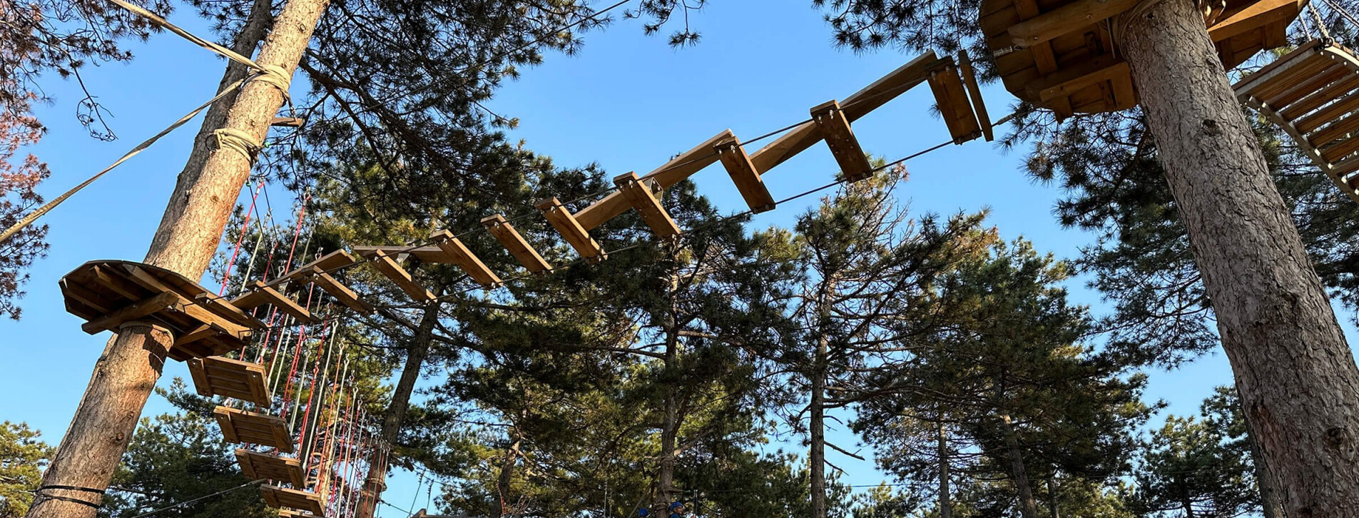 Arkadaş Grubu için İpli Parkur - 4 Fotoğraf 4 - Arkadaş Grubu için İpli Parkur (4 kişi)