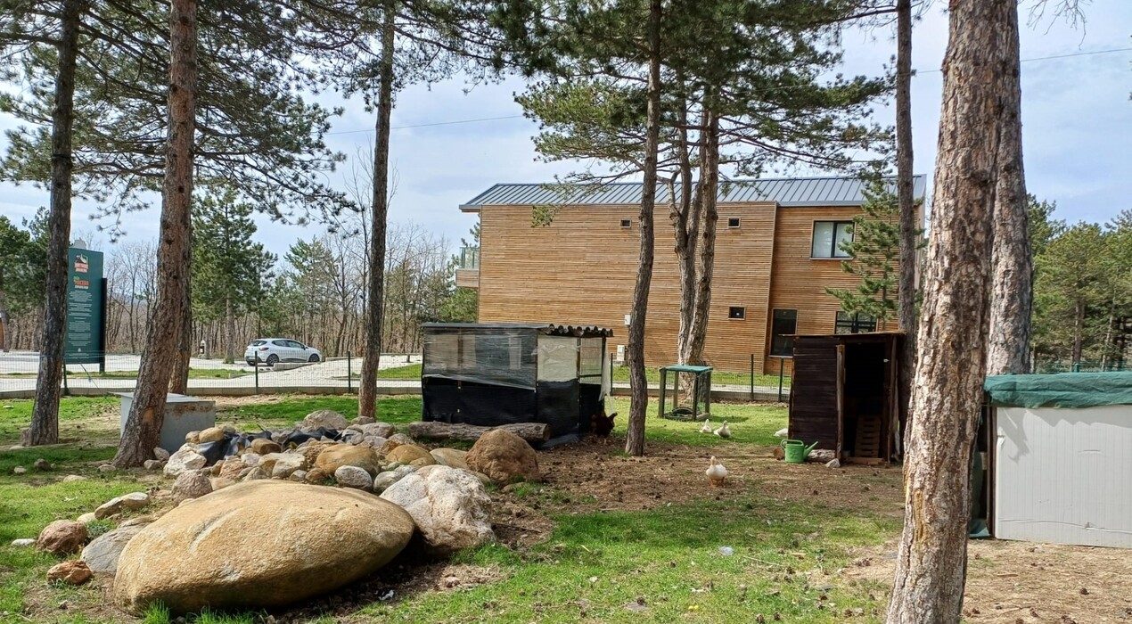 Nefes Dağyenice - 9 Fotoğraf 9 - Nefes Dağyenice