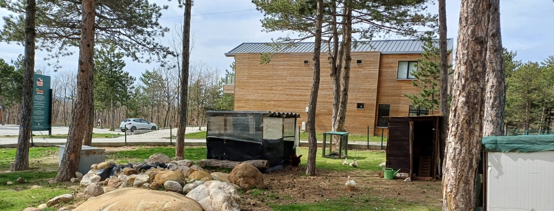 Ok Atışı Eğitimi - 10 Fotoğraf 10 - Ok Atışı Eğitimi