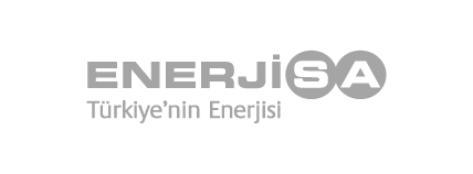 Enerjisa